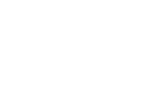 White Lions 2017 Tour Edition